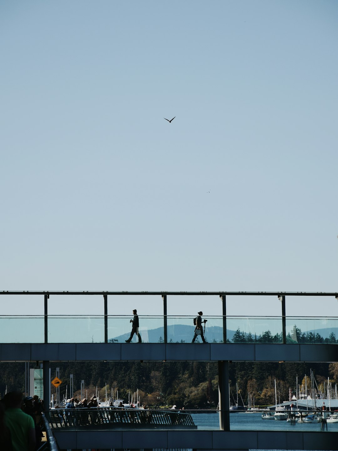 two people walking on bridge