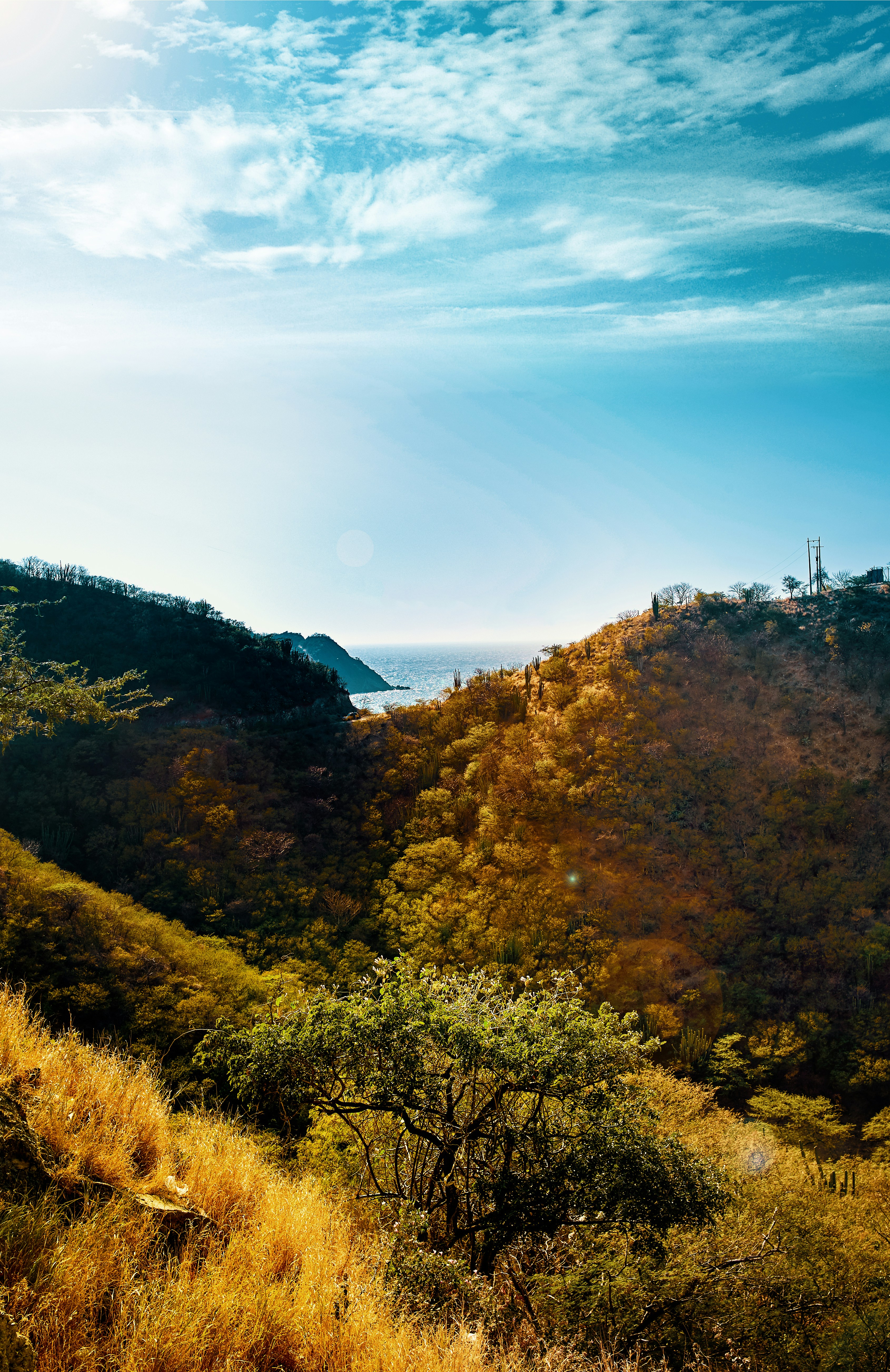 Photo by oscaresquivel