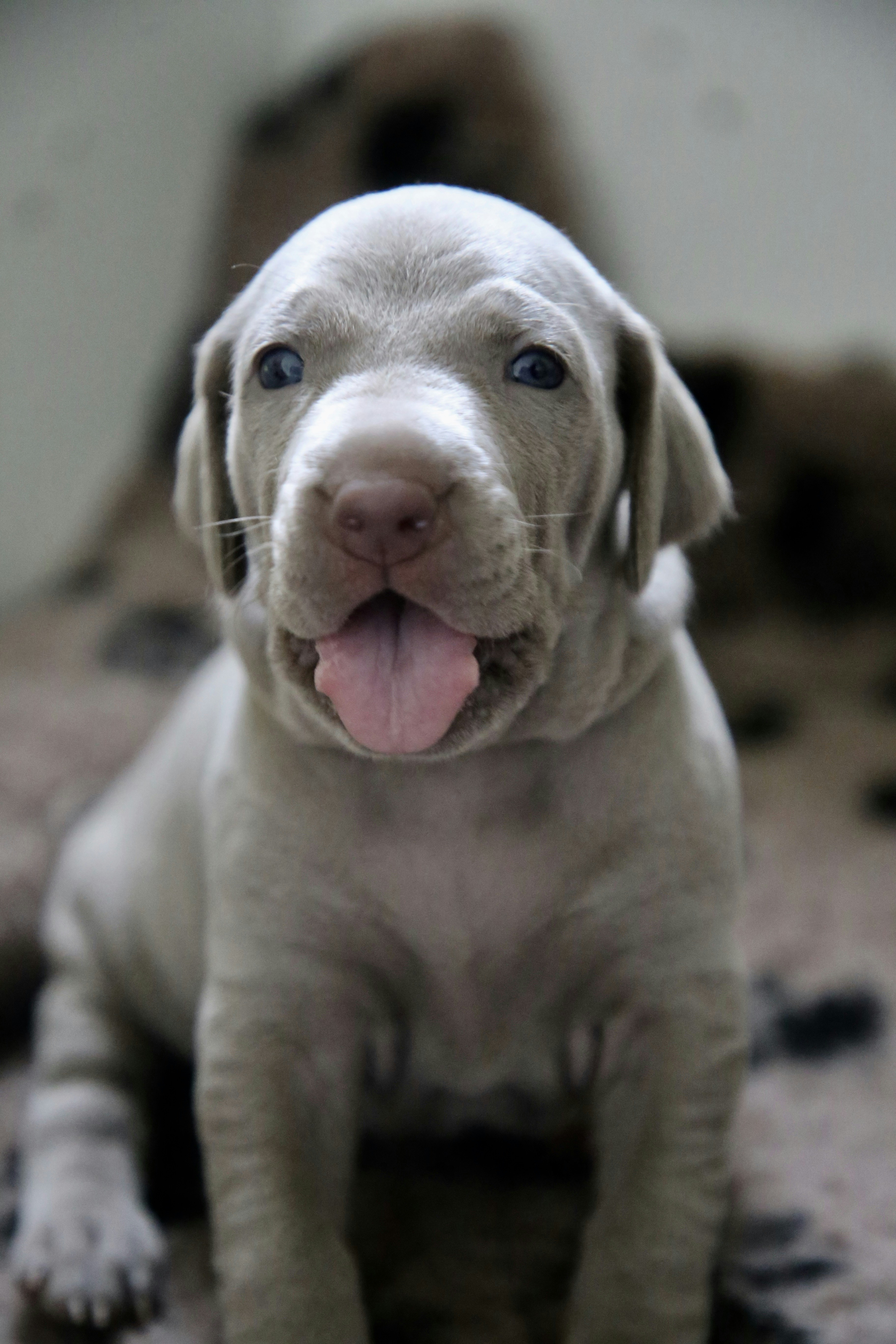 Photo by nathalie_spehner