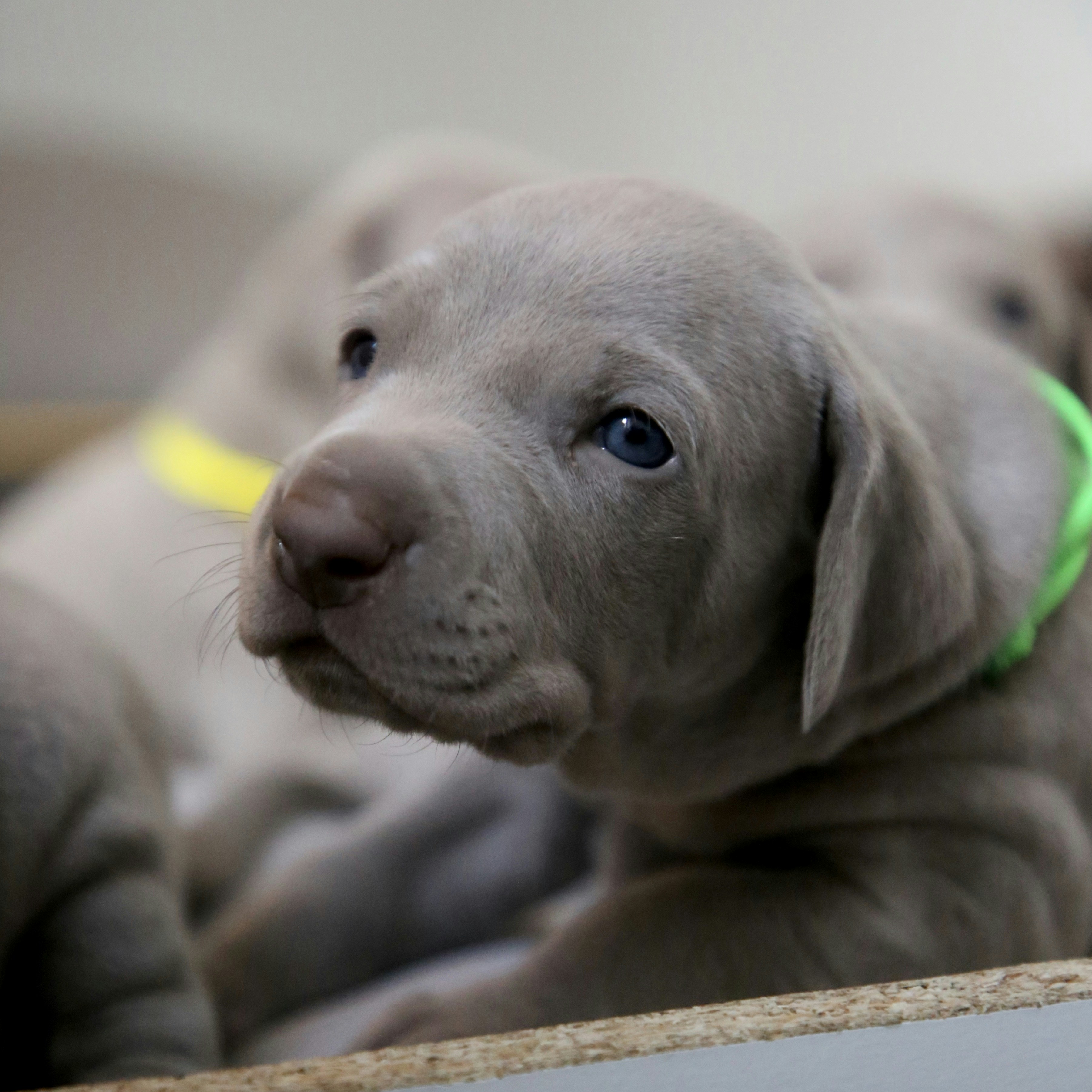 Photo by nathalie_spehner