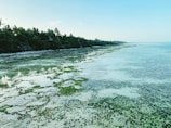 A serene coastal landscape with clear blue waters.