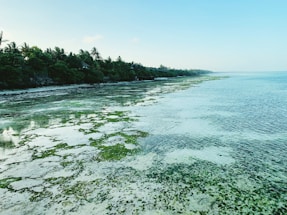 A serene coastal landscape with purple and green hues reflecting sustainability and nature.