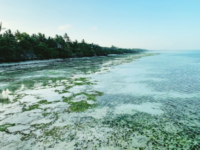 A serene coastal view of Las Terrenas with clear blue waters.