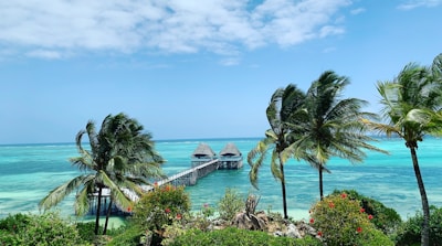 A tropical seascape features clear blue ocean water under a bright sky. A wooden pier extends into the distance, flanked by lush palm trees swaying gently in the breeze. In the foreground, vibrant greenery with colorful flowers adds to the serene coastal ambiance.