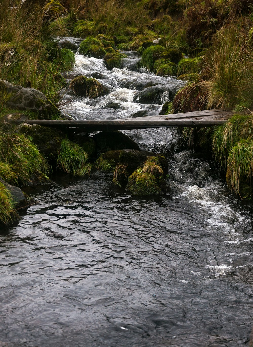 mini ponte di legno grigio sul fiume