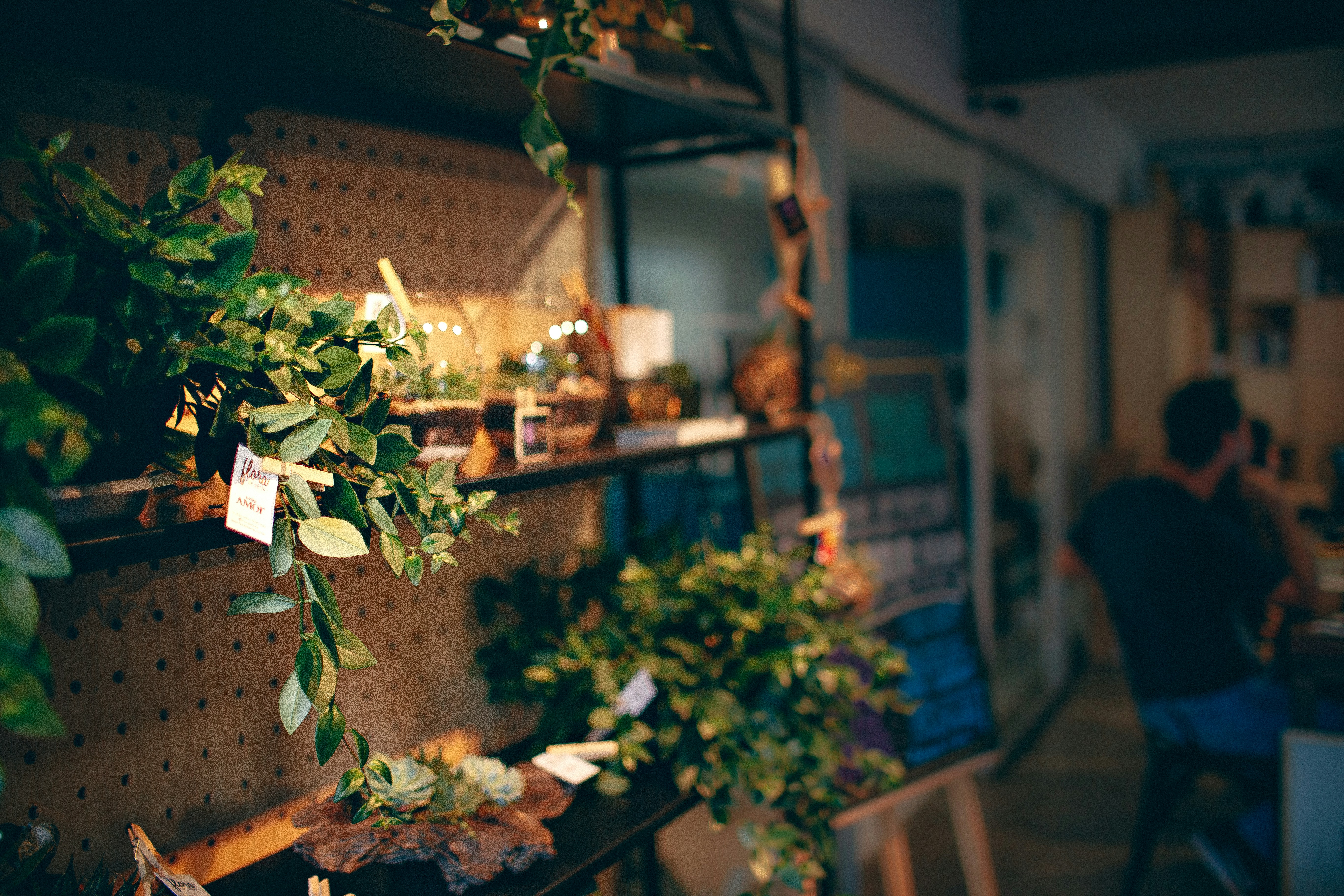 Photo by helenalopesph