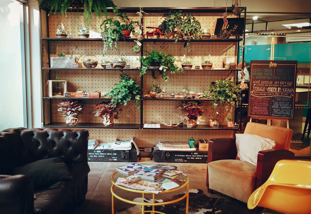 plant filled cabinet on end of hall