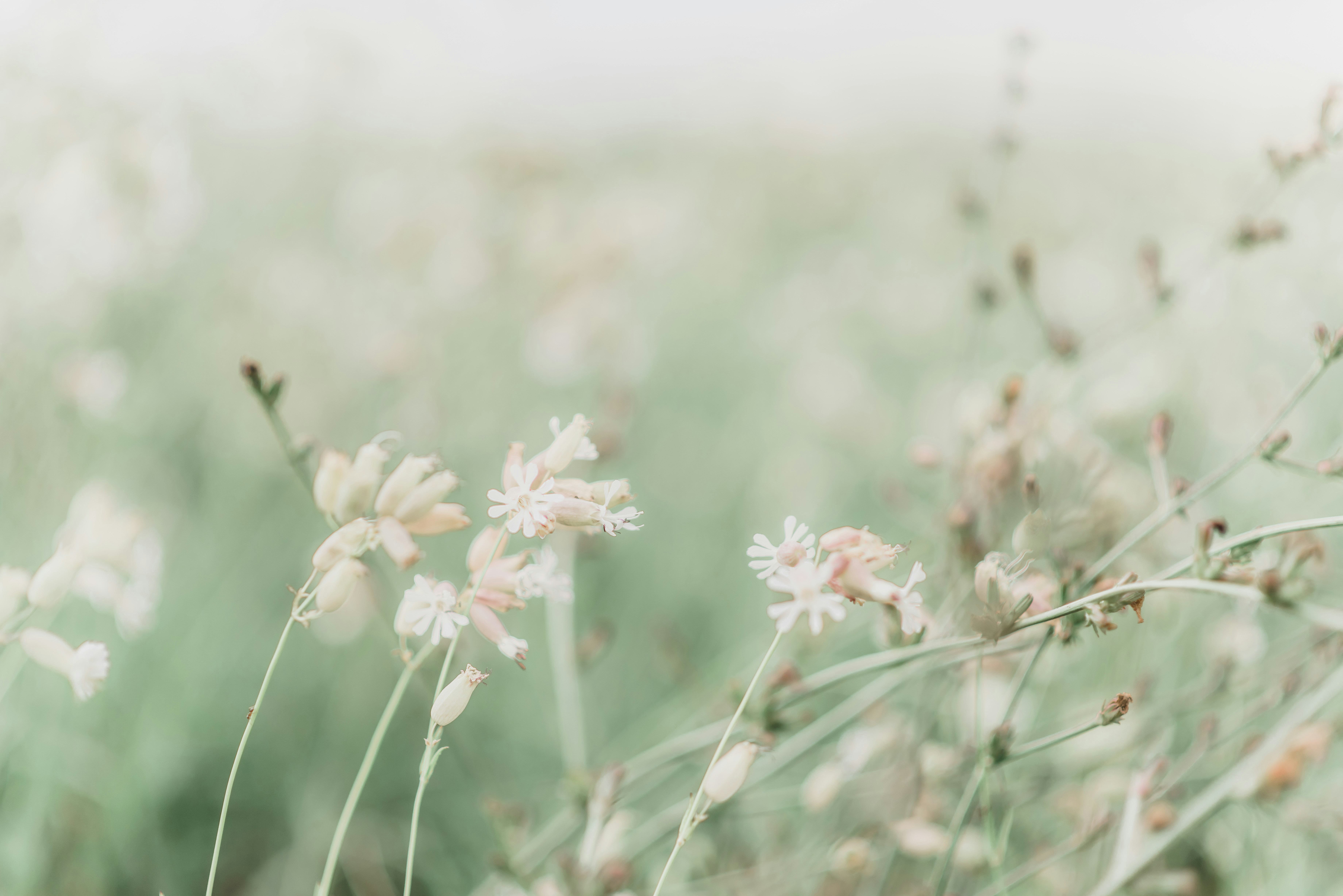 Photo by laurapatrickphotography