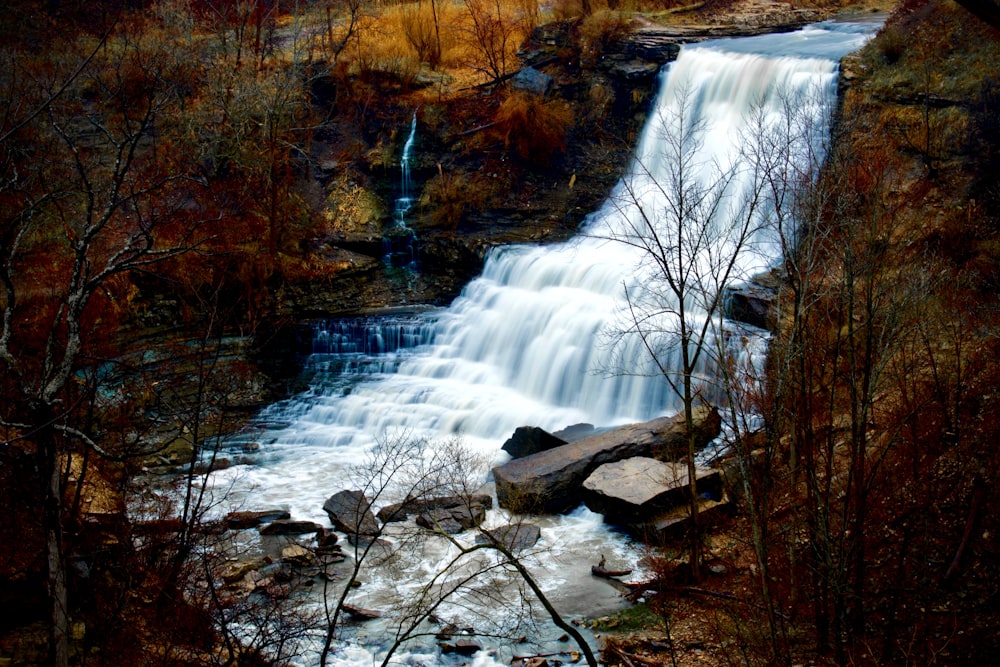 aerial photography of waterfalls surrounded by bare trees during daytime