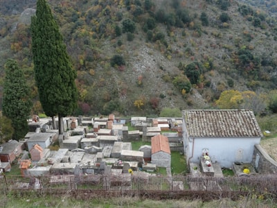 A hillside cemetery with various stone tombs and a small chapel. The tombs are arranged in neat rows, surrounded by lush greenery. Two tall cypress trees stand prominently near the graves. The backdrop consists of a forested hill with autumn colors.