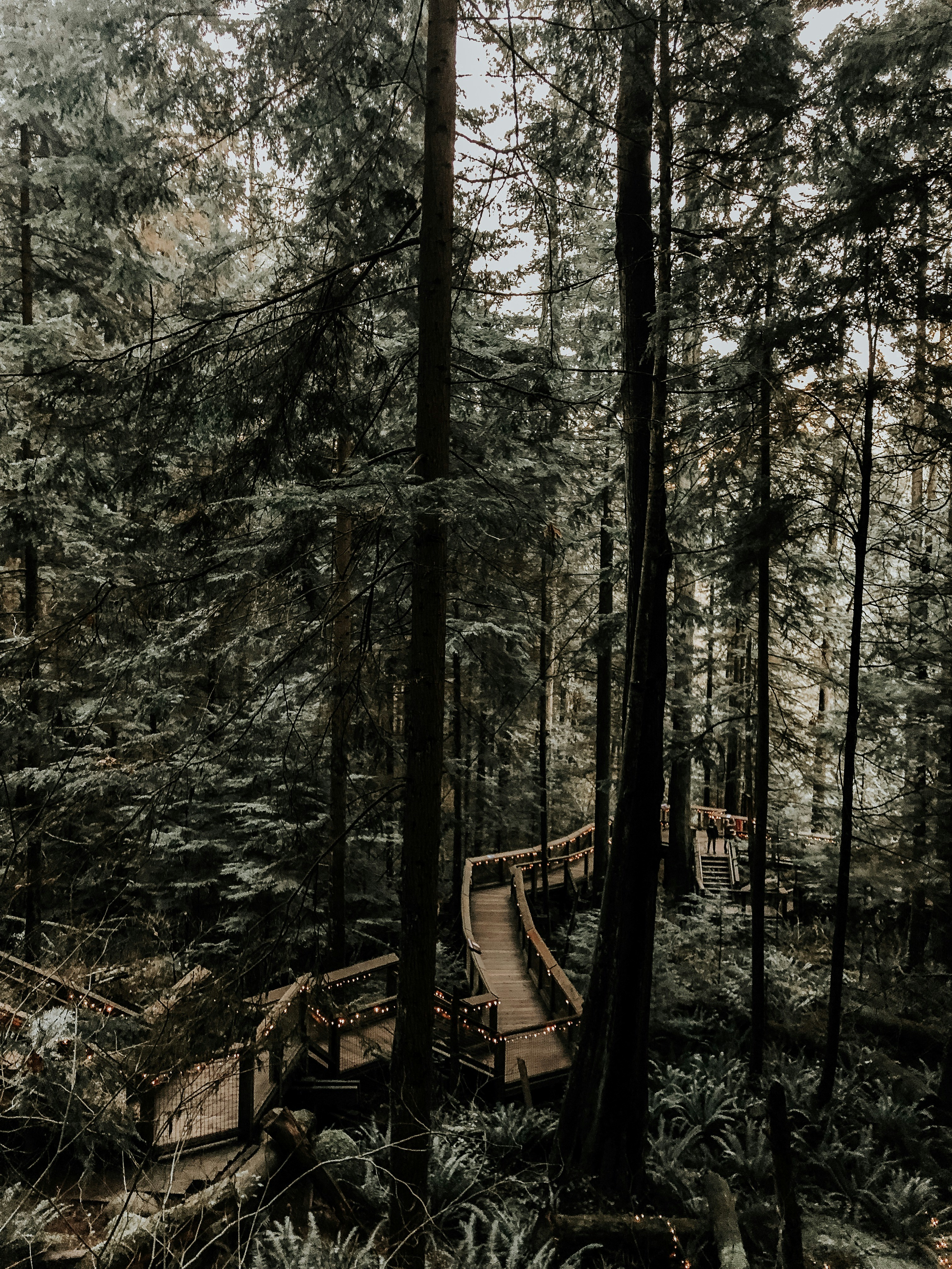 Photo by laurynkelman