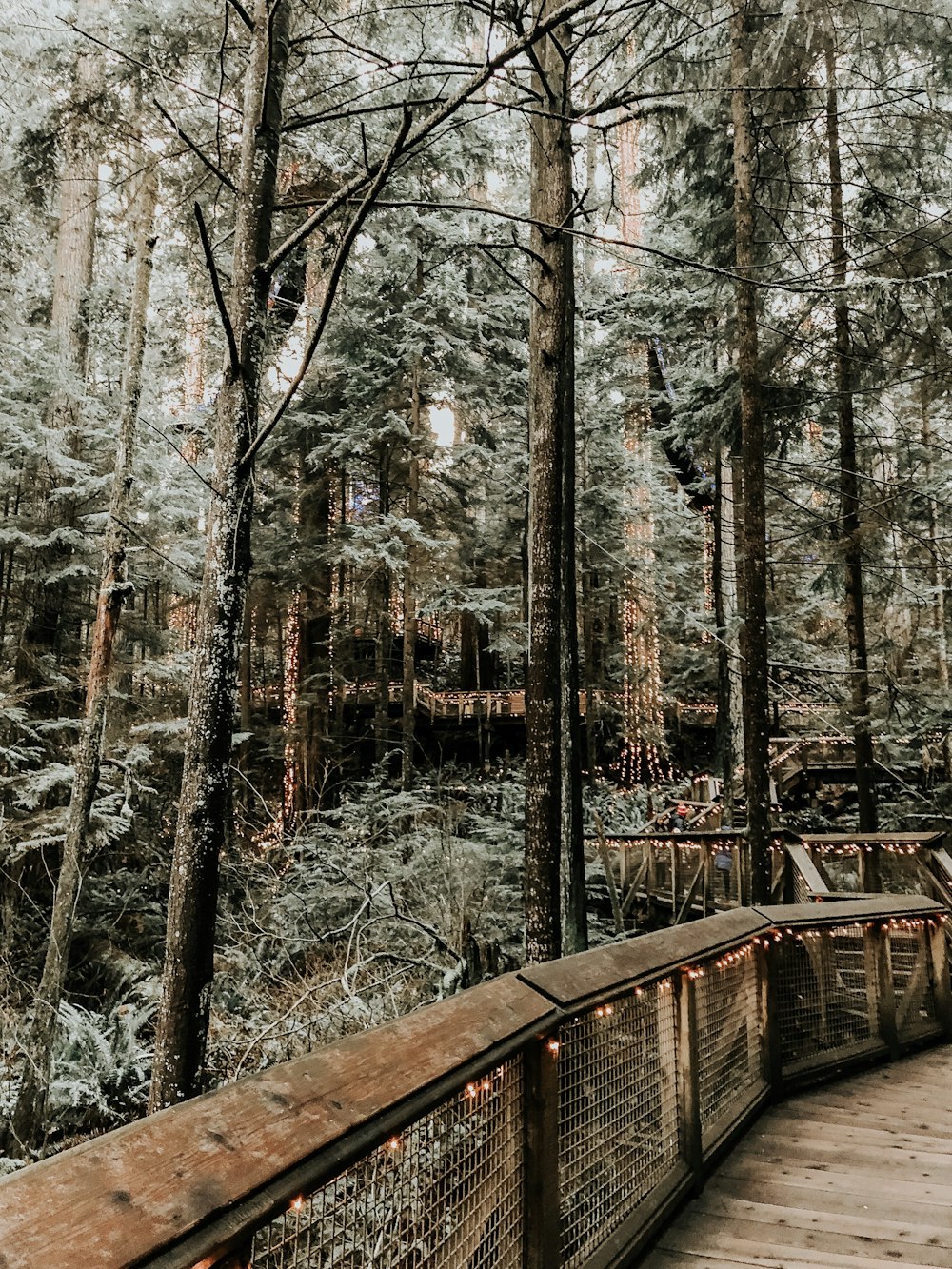 brown wooden rails with tress