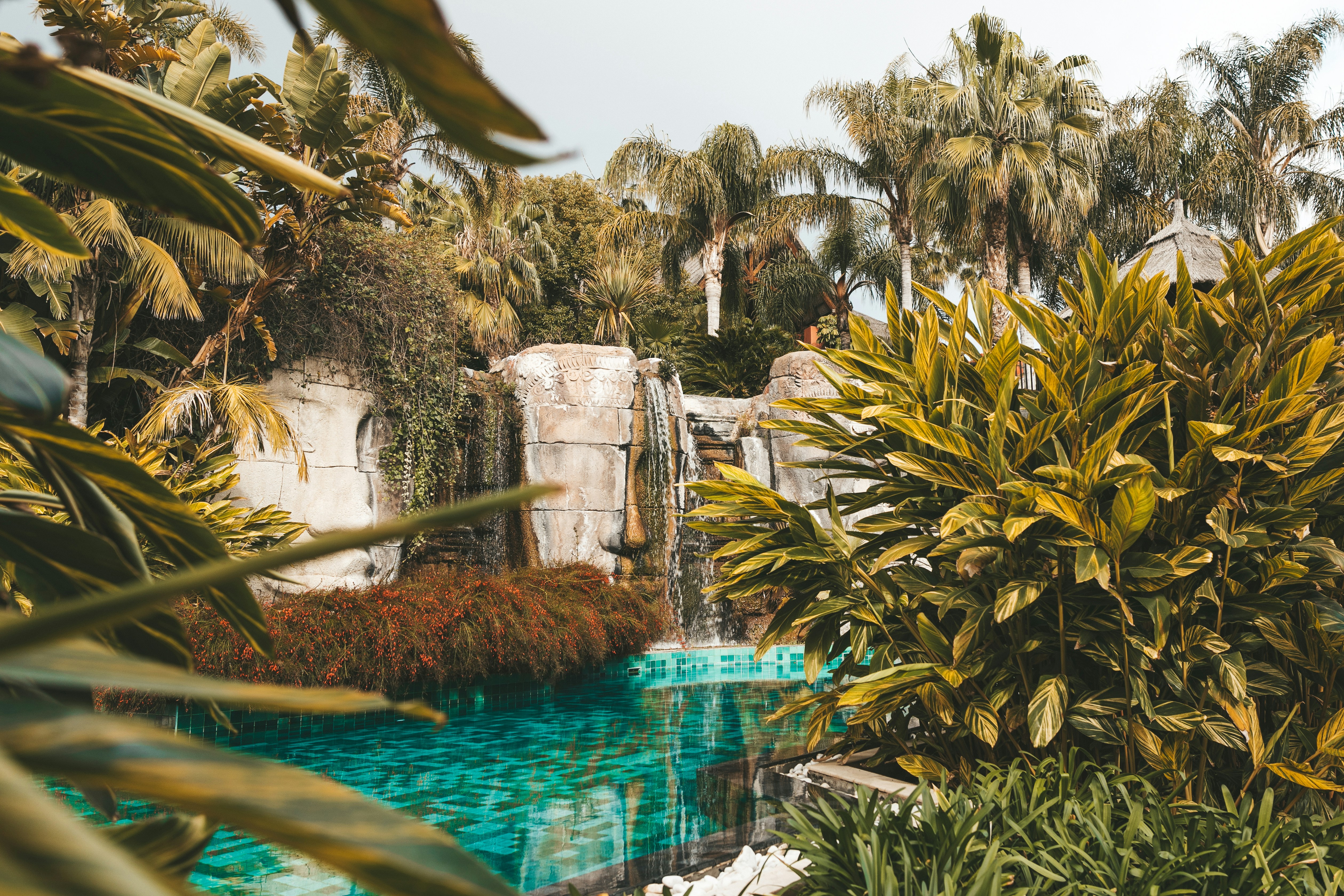 Photo by good_citizen