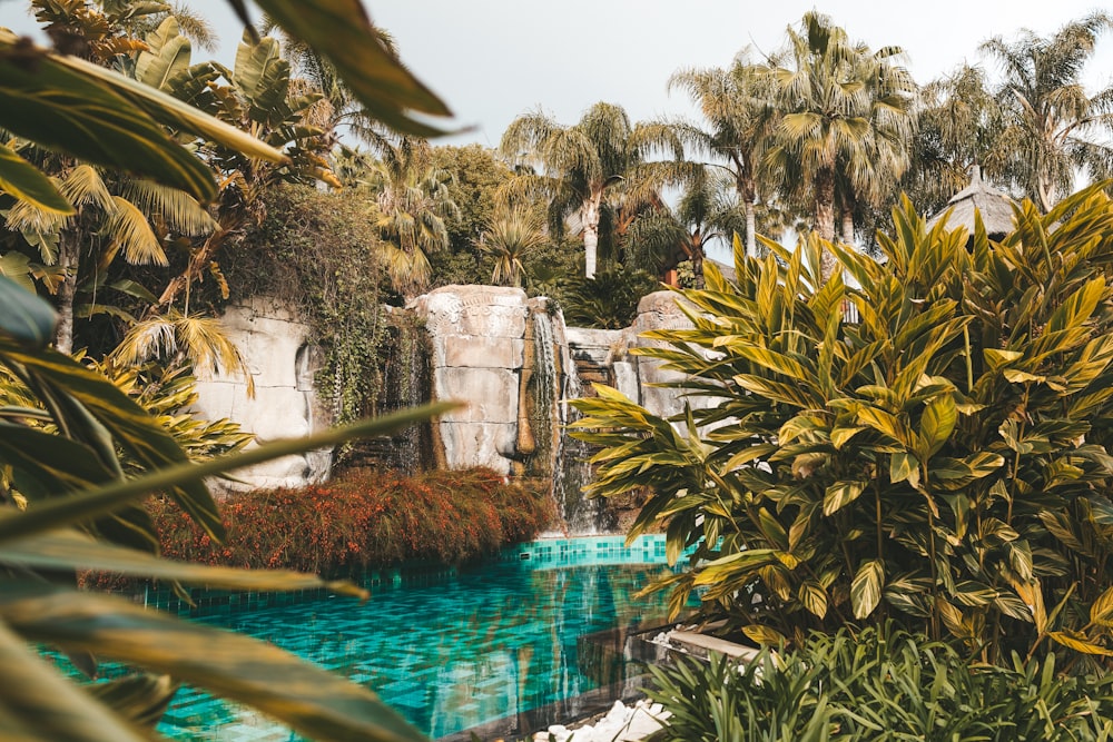 outdoor pool during daytime