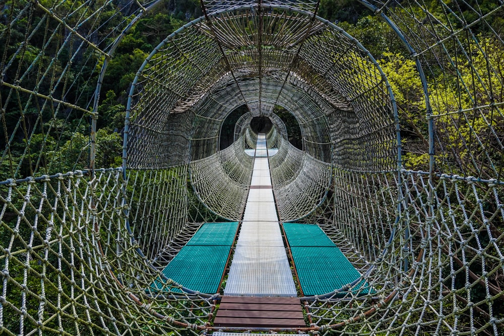 gray net bridge