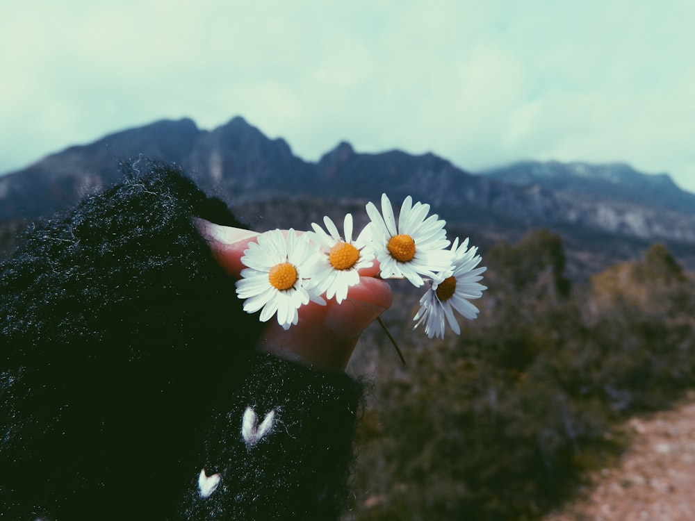 four white flowers held by hand at mountain