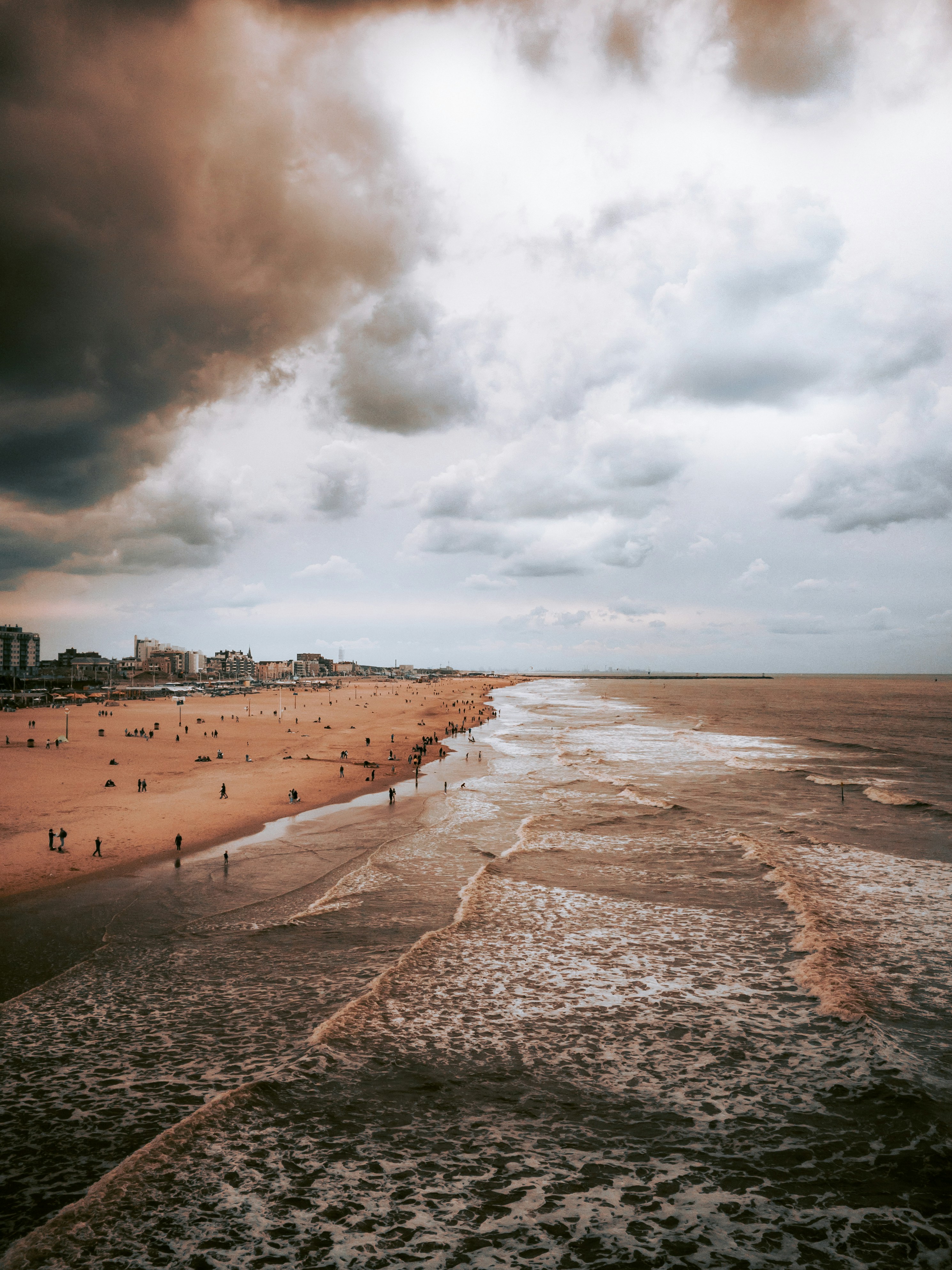 people on bay side during daytime