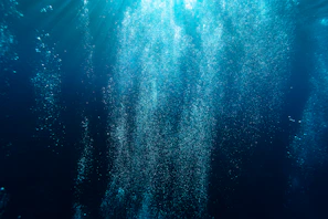 A serene underwater scene where light filters through, illuminating shapes that suggest hidden narratives.