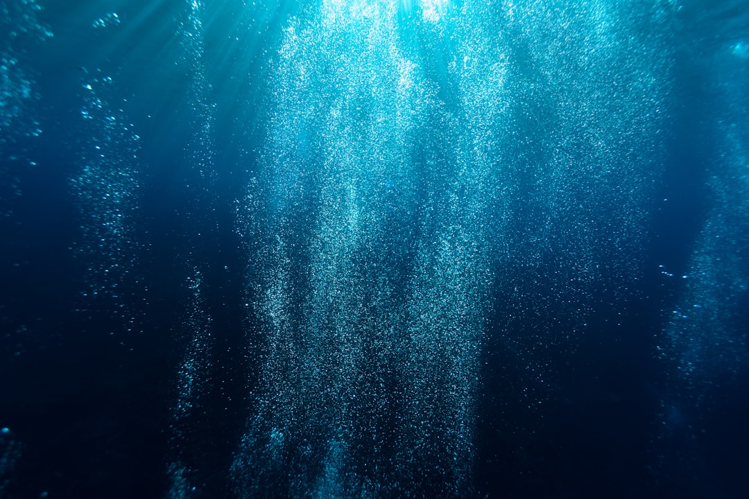Plumbing the Depths - The Women Mapping Uncharted Ocean Terrain - T… — Plumbing the Depths - The Women