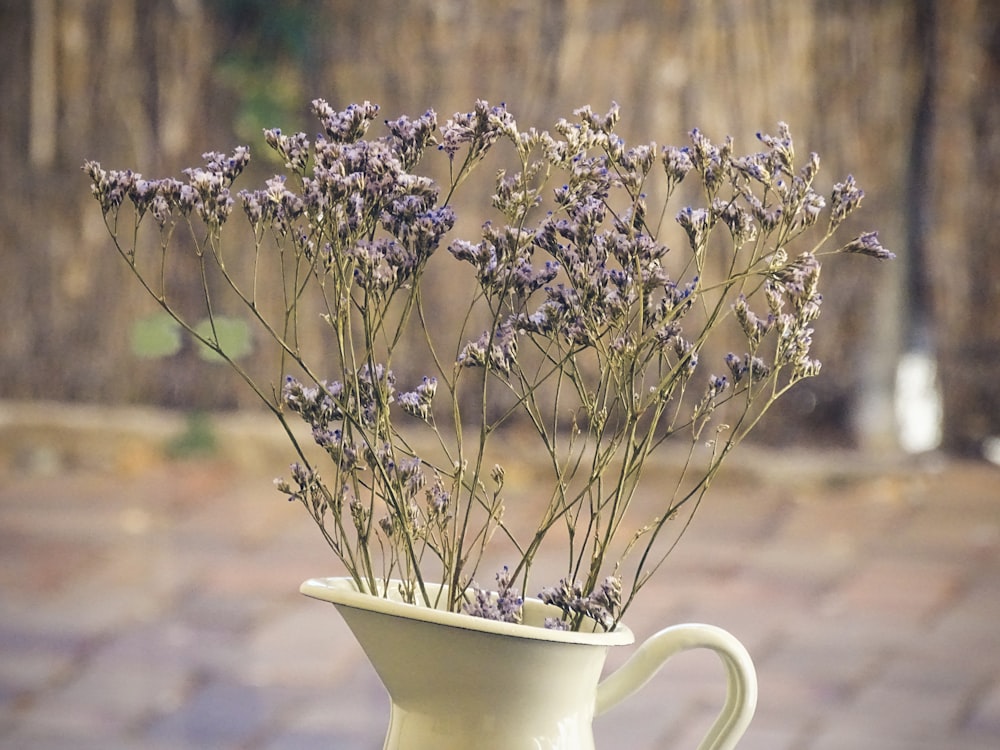 purple petaled flower with green vase