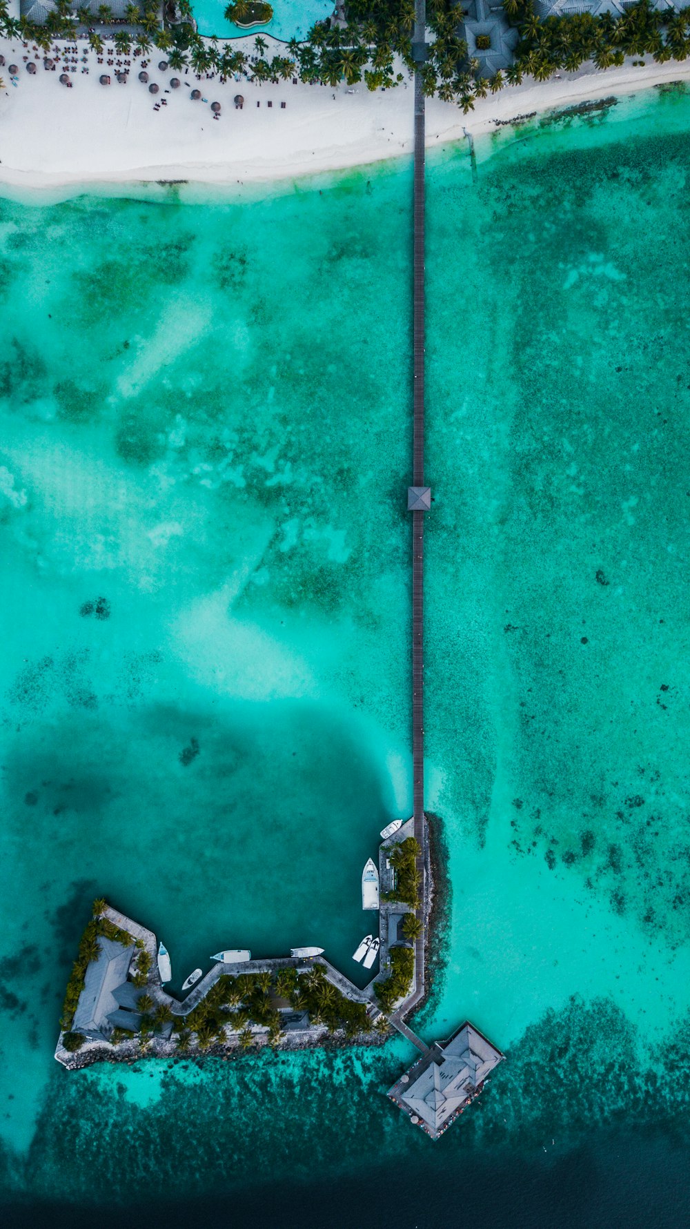 aerial view photography of beach