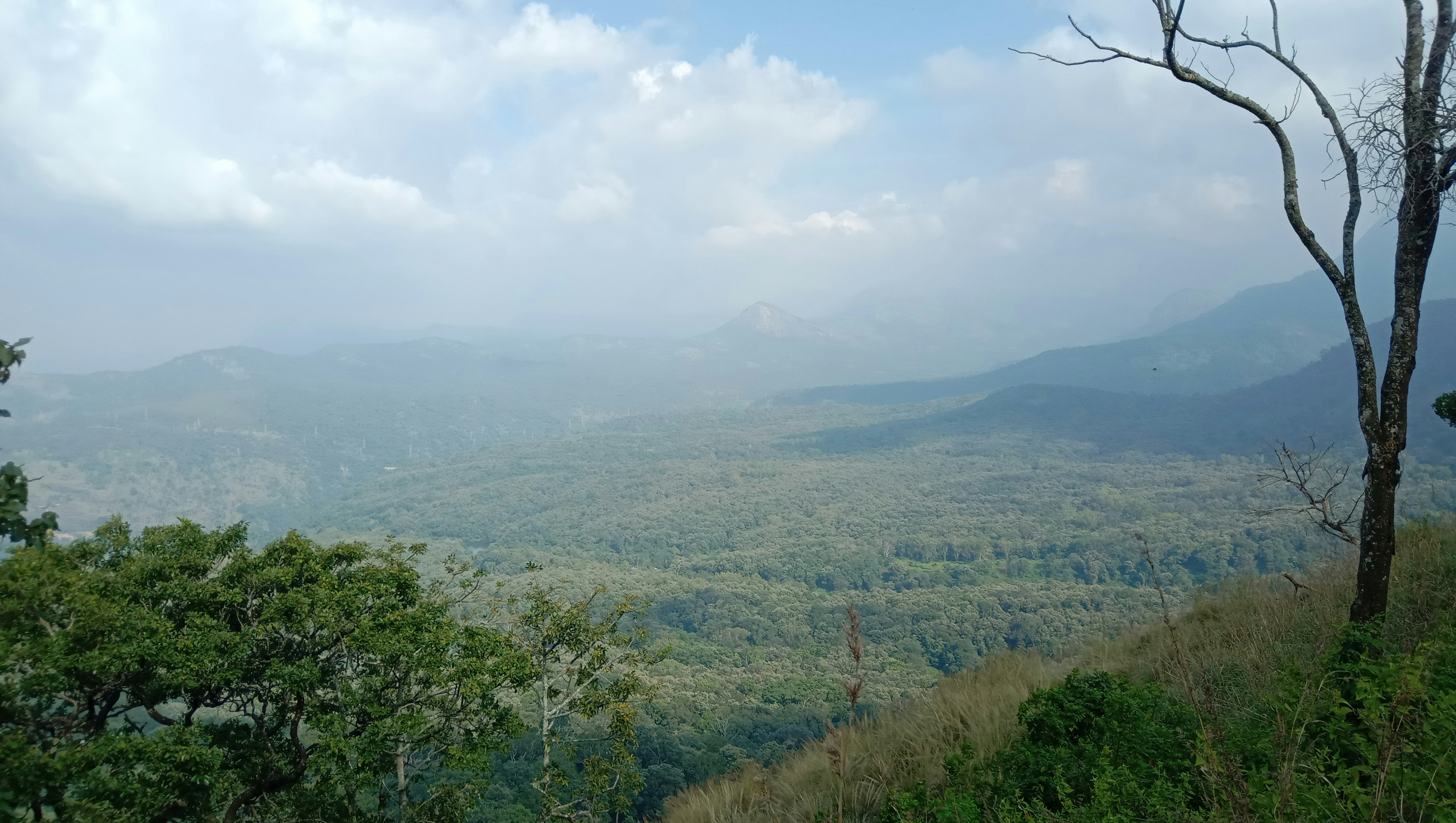 Photo by vinithjoy143