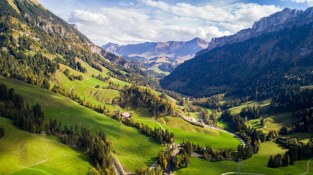 Grüne Bäume unter den Bergen während des Tages