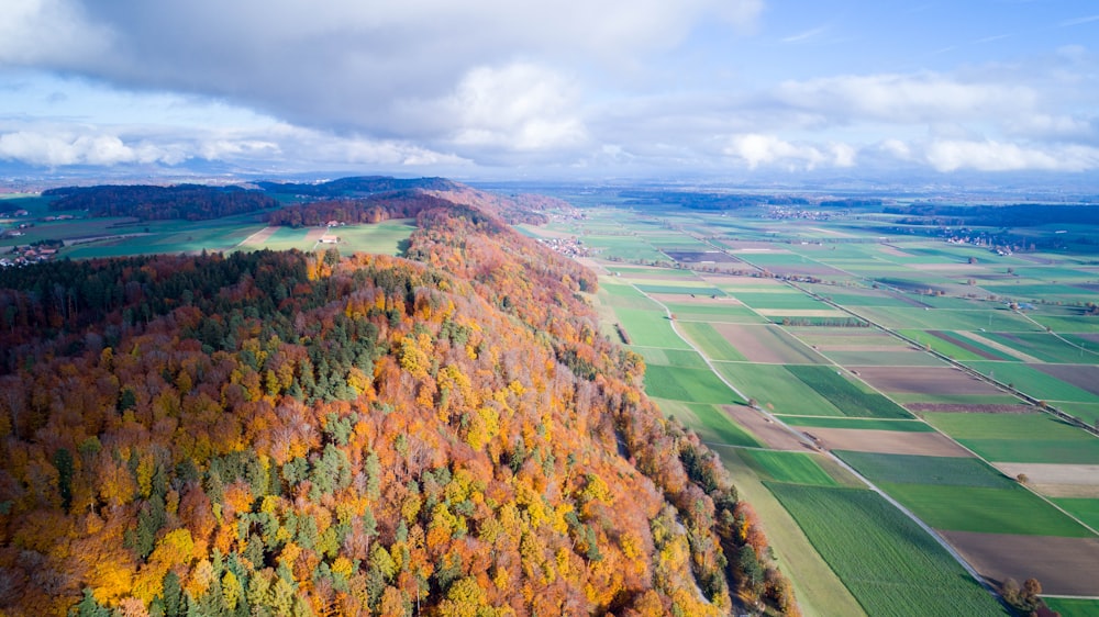 high-angle photography of tree and mountain