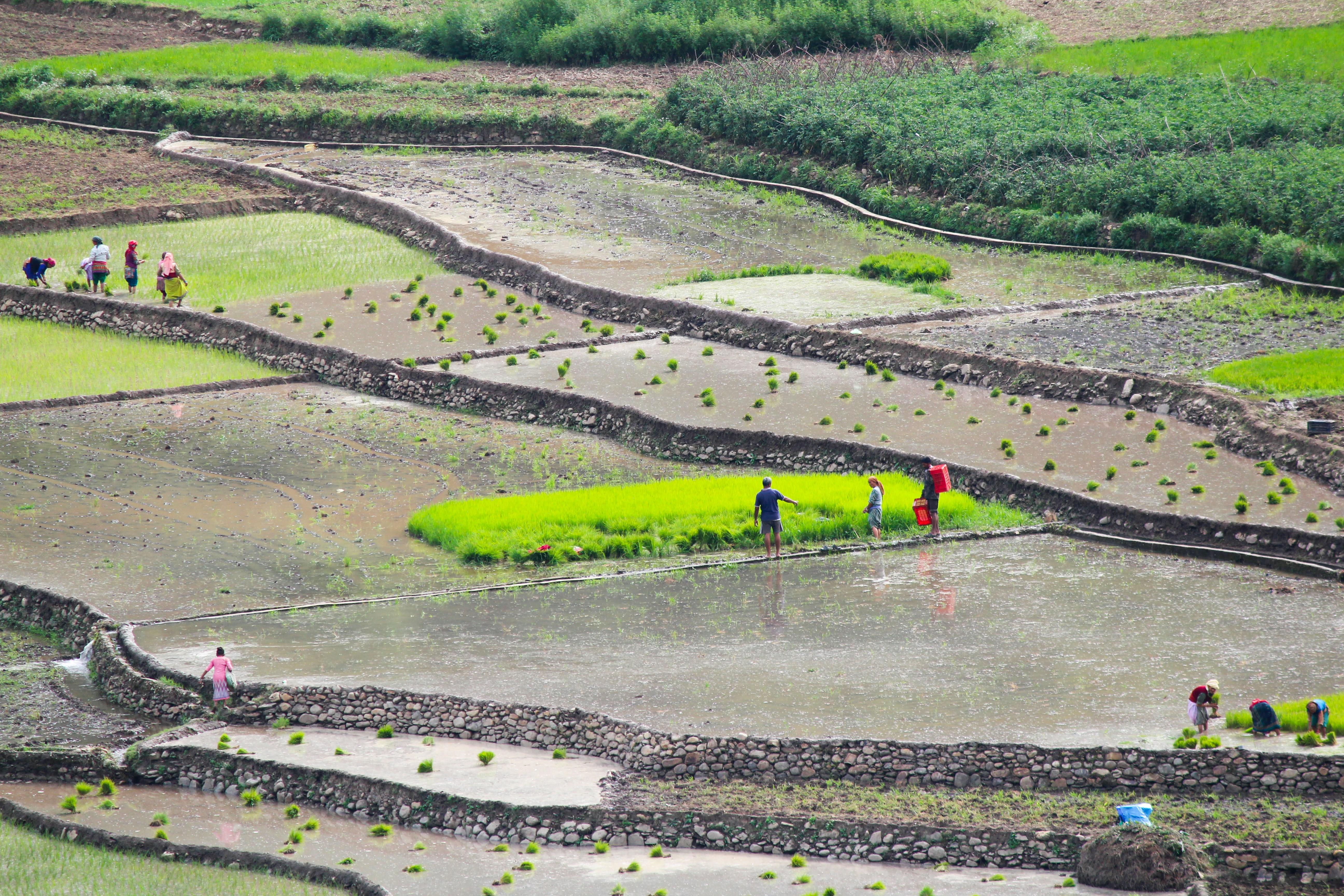 Photo by rohanaggy_6