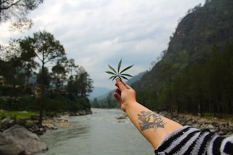 A hand with a tattoo is holding a green leaf in the foreground, with a serene river and lush forested mountains in the background. The sky is overcast with a hint of clouds, giving the scene a calm and peaceful atmosphere.