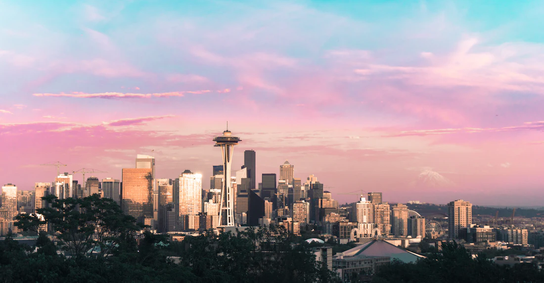 Website Development in Seattle — NextAxis Digital