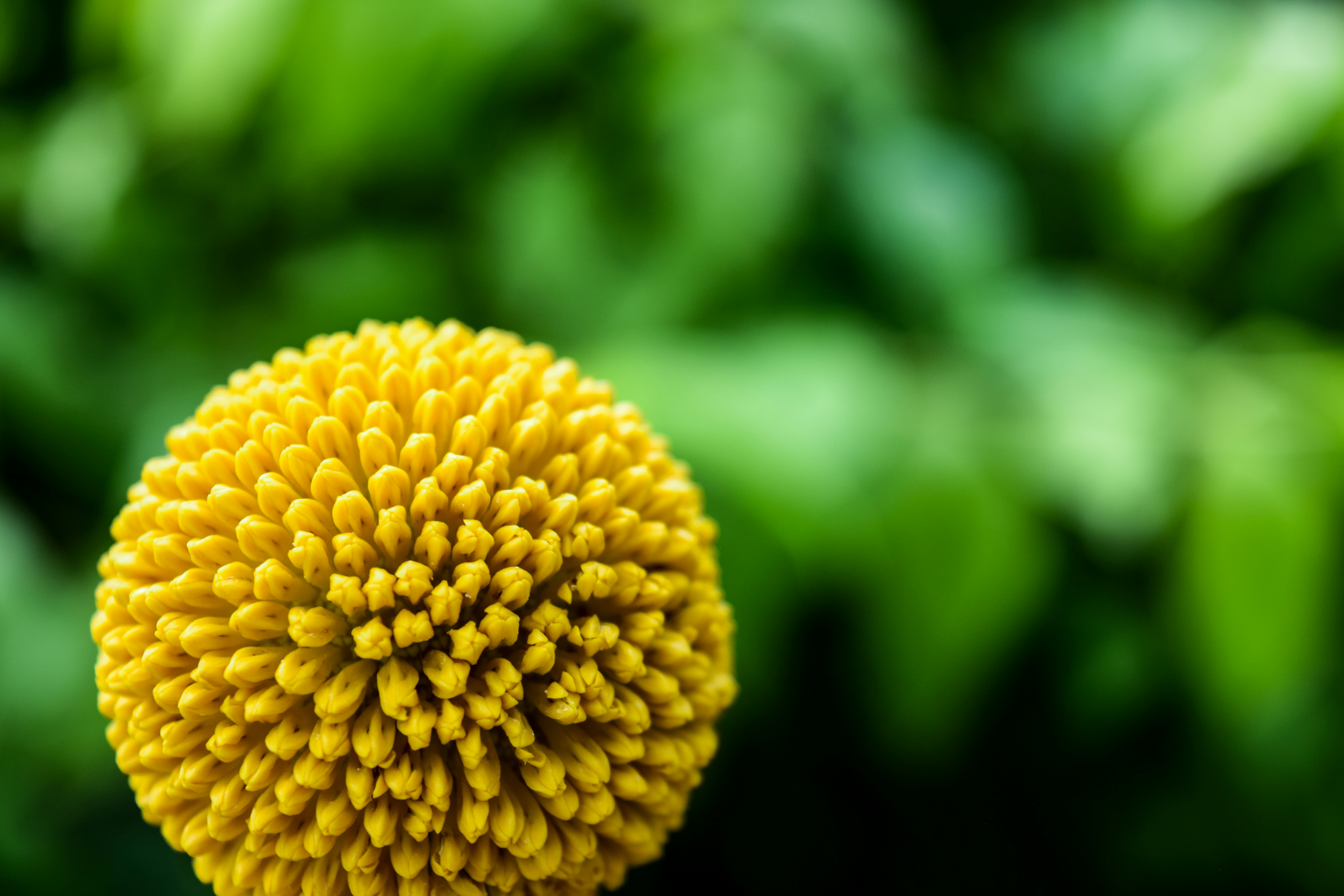 Photo by ifreezesometimes