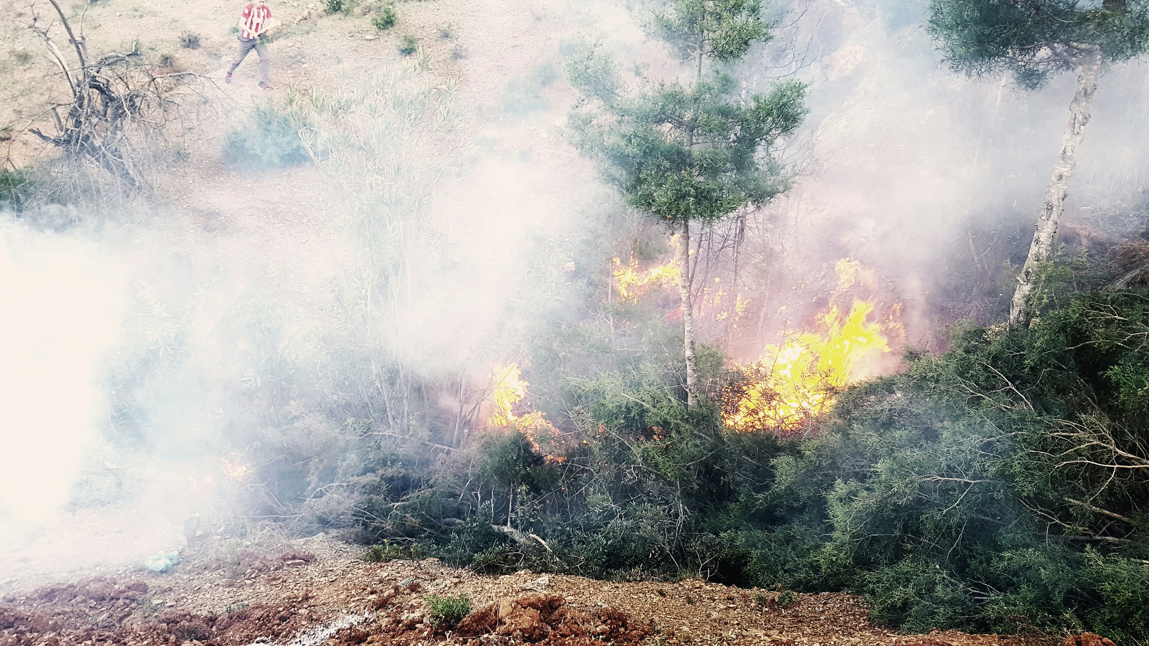 경주 산불에 대한 인식과 대처 방안