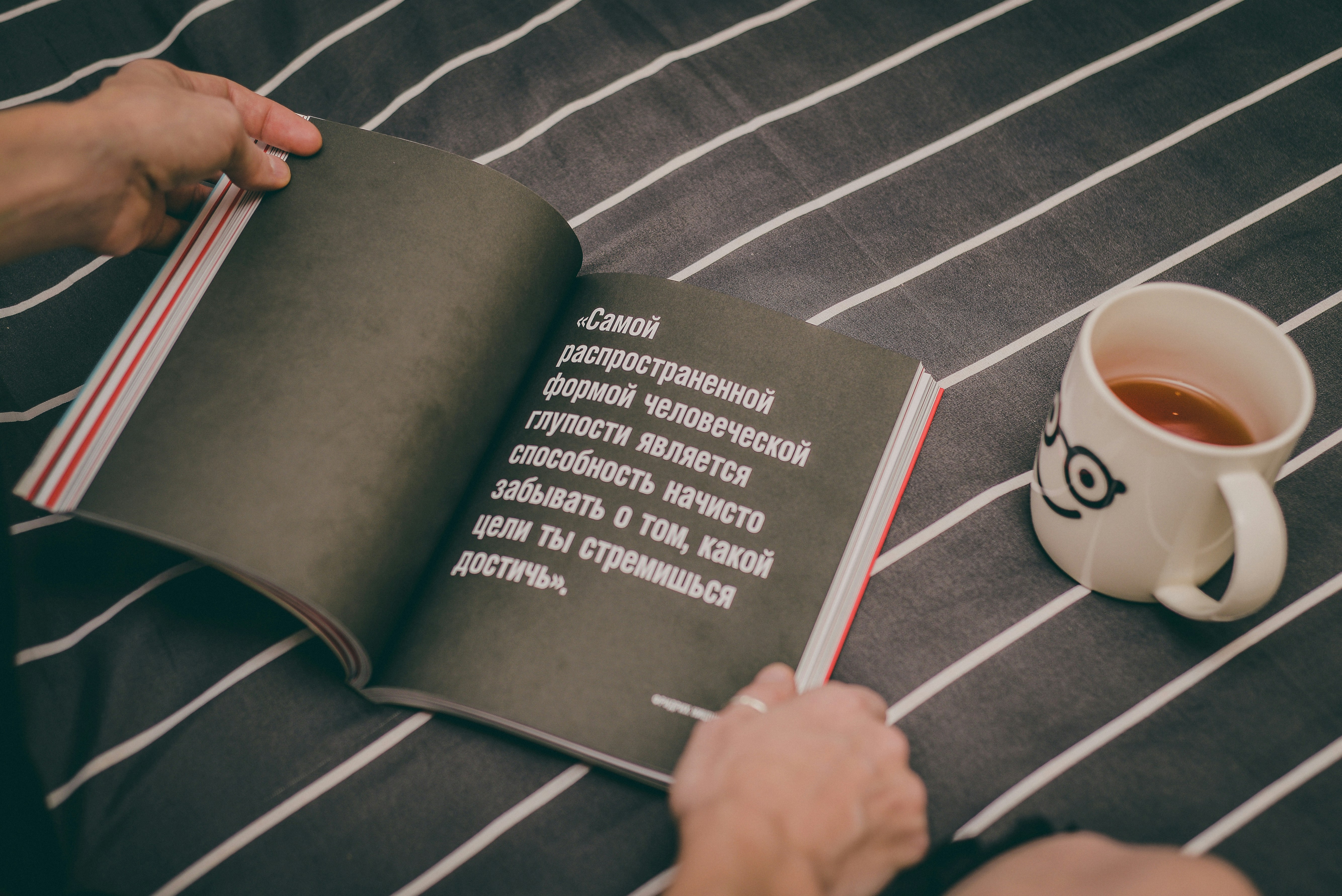 person holding book