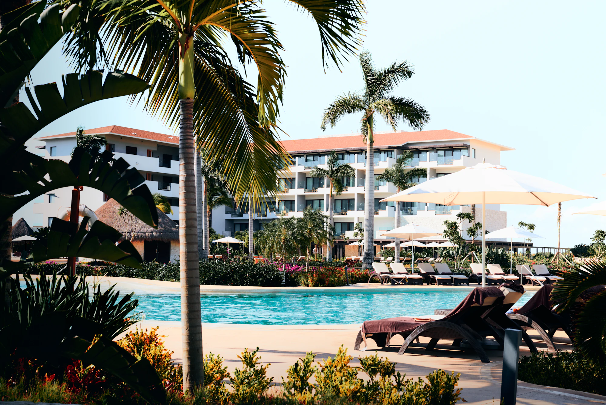 Luxury hotel resort with palm trees
