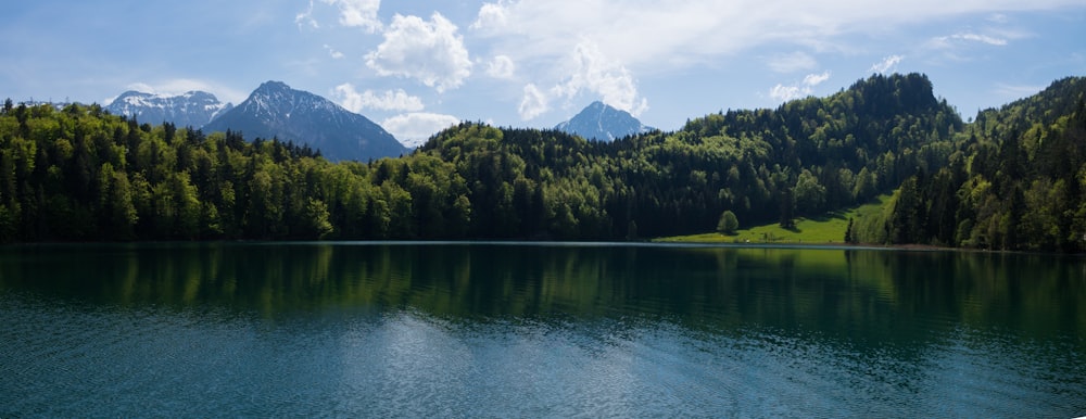 calm lake surrounded with trees