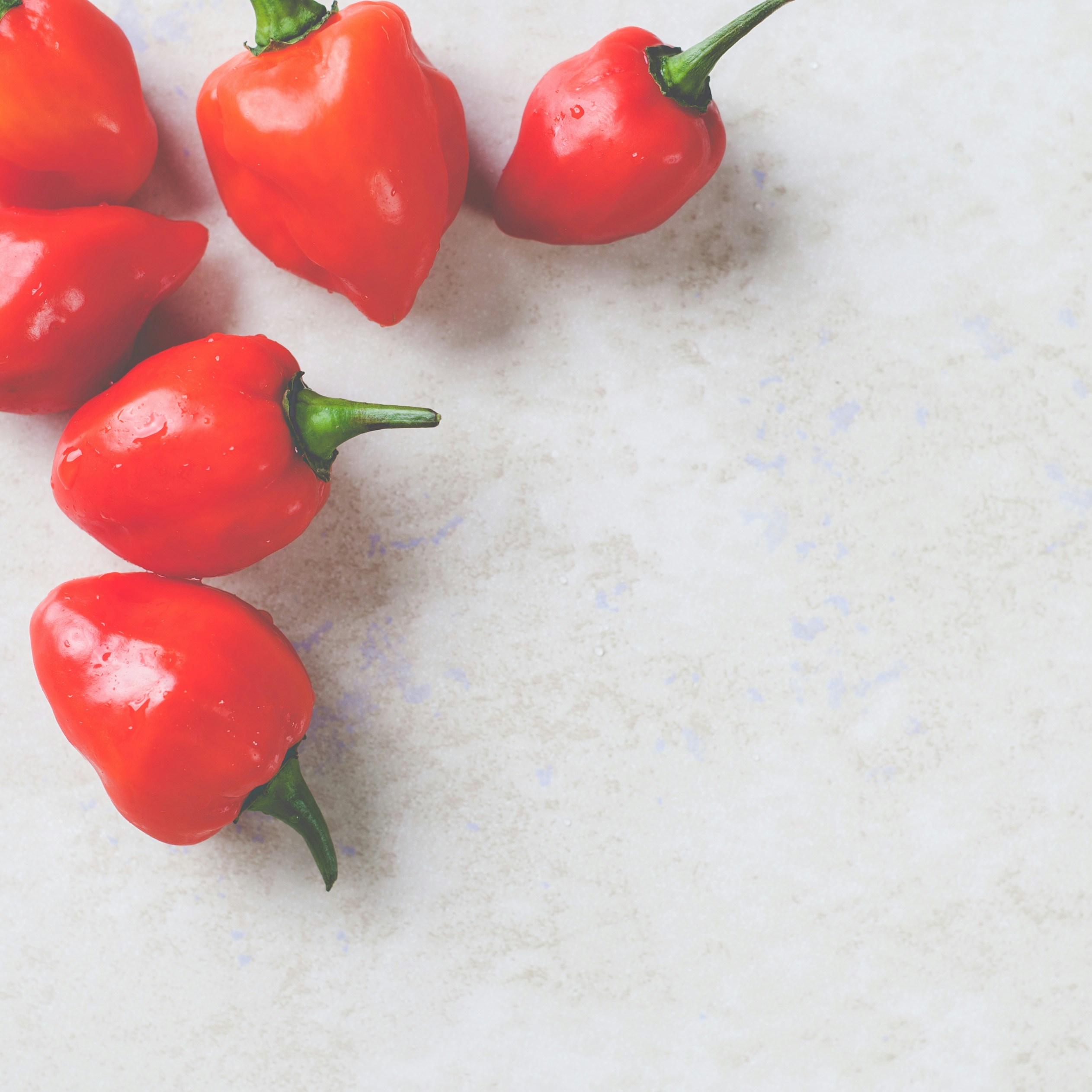 Piment doux africain