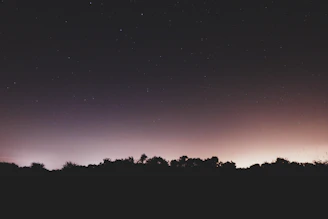 A serene night sky filled with stars and subtle zodiac symbols glowing softly.