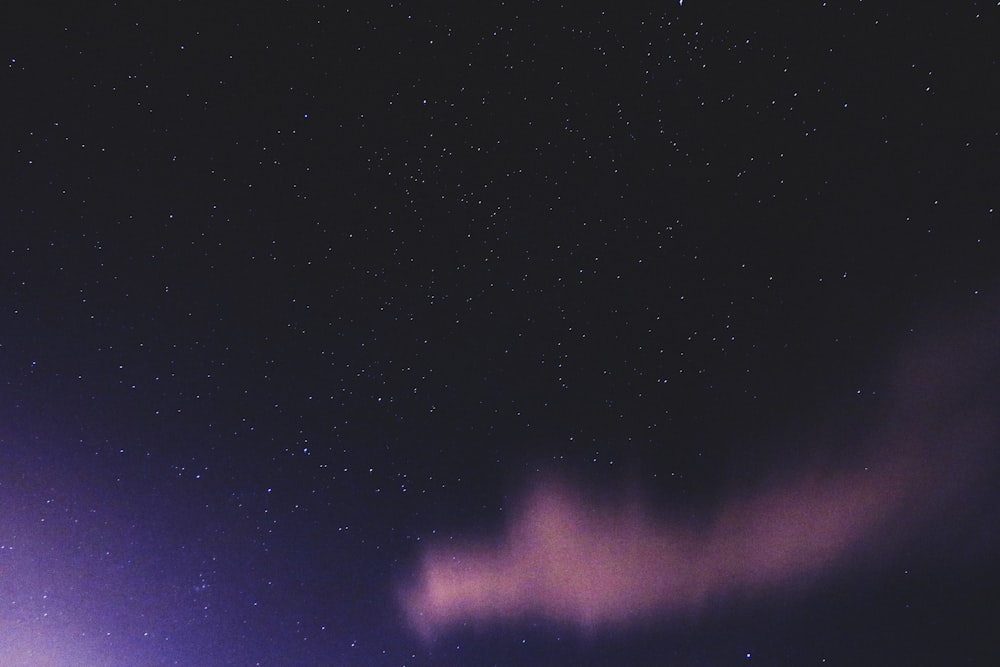 low angle photography of purple borealis