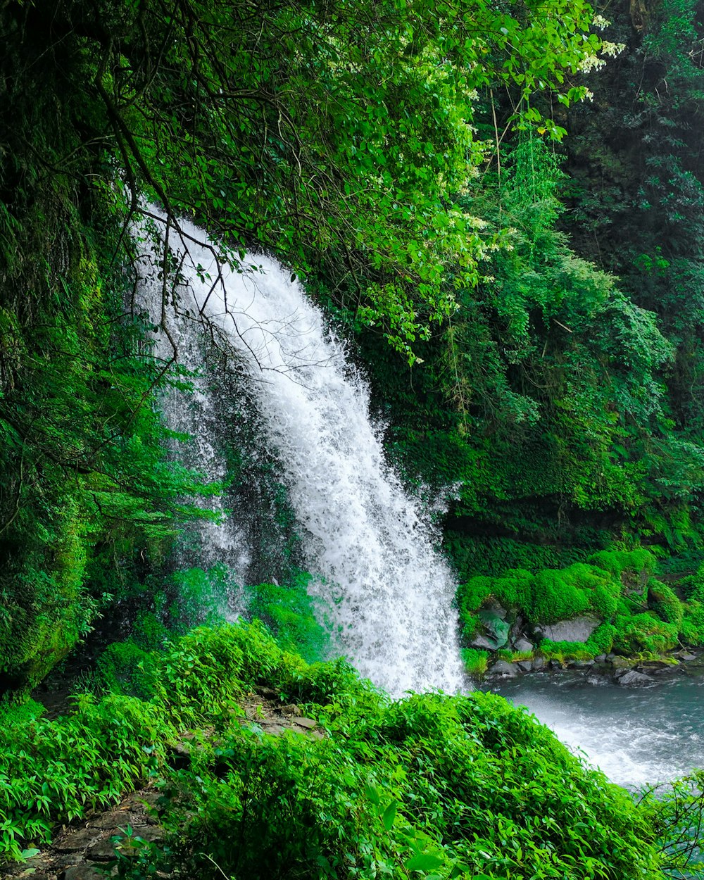 Fotografía de lapso de tiempo de cascada