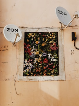 A wall with two satellite dishes mounted on either side of a window adorned with a vibrant array of artificial flowers in various colors and types. The surface of the wall is a worn, pale peach color, and an electrical box is affixed to the wall near the right dish.