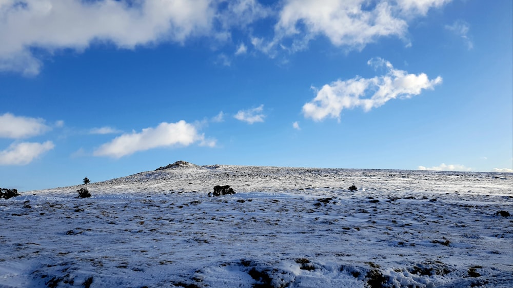 icy field