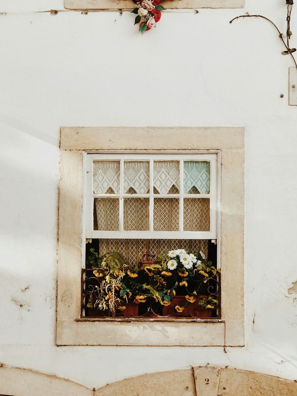 Ventana panorámica de centro de mesa de flores de pétalos blancos