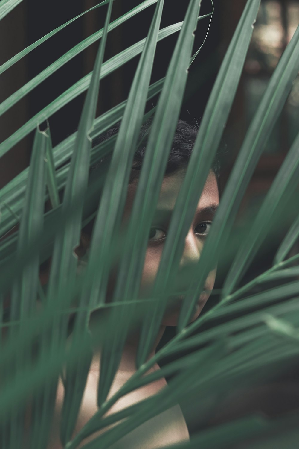 boy standing behind areca palm