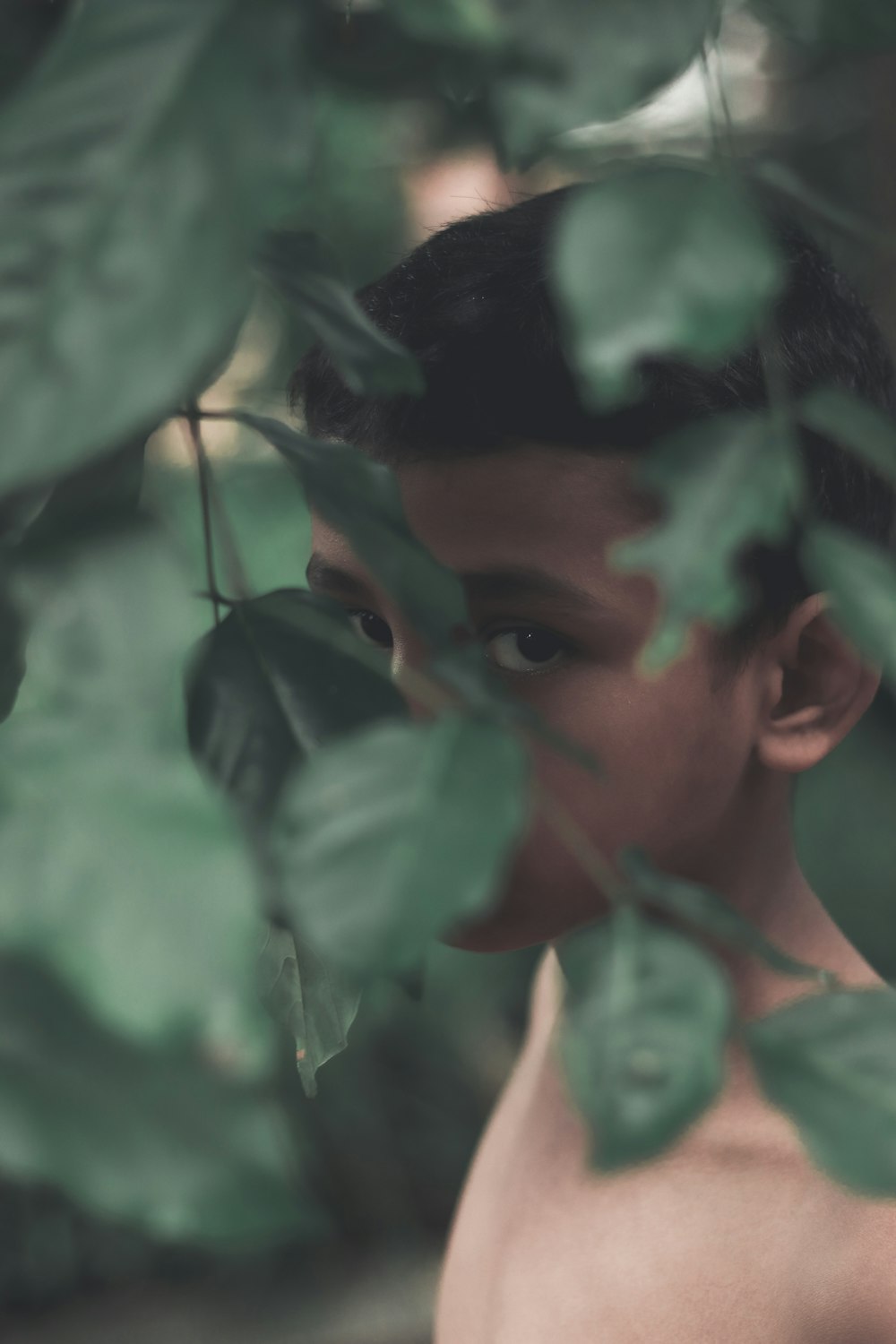 topless boy behind green leafed plant during daytime