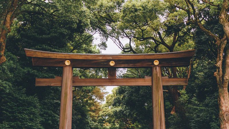A brown torii gate under tall trees in Tokyo