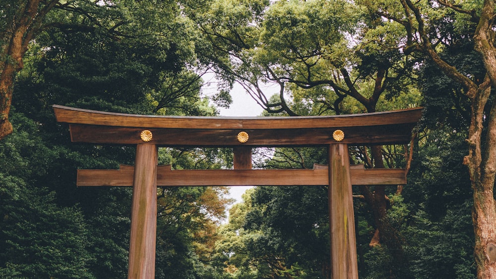 brown torii gate under tall trees