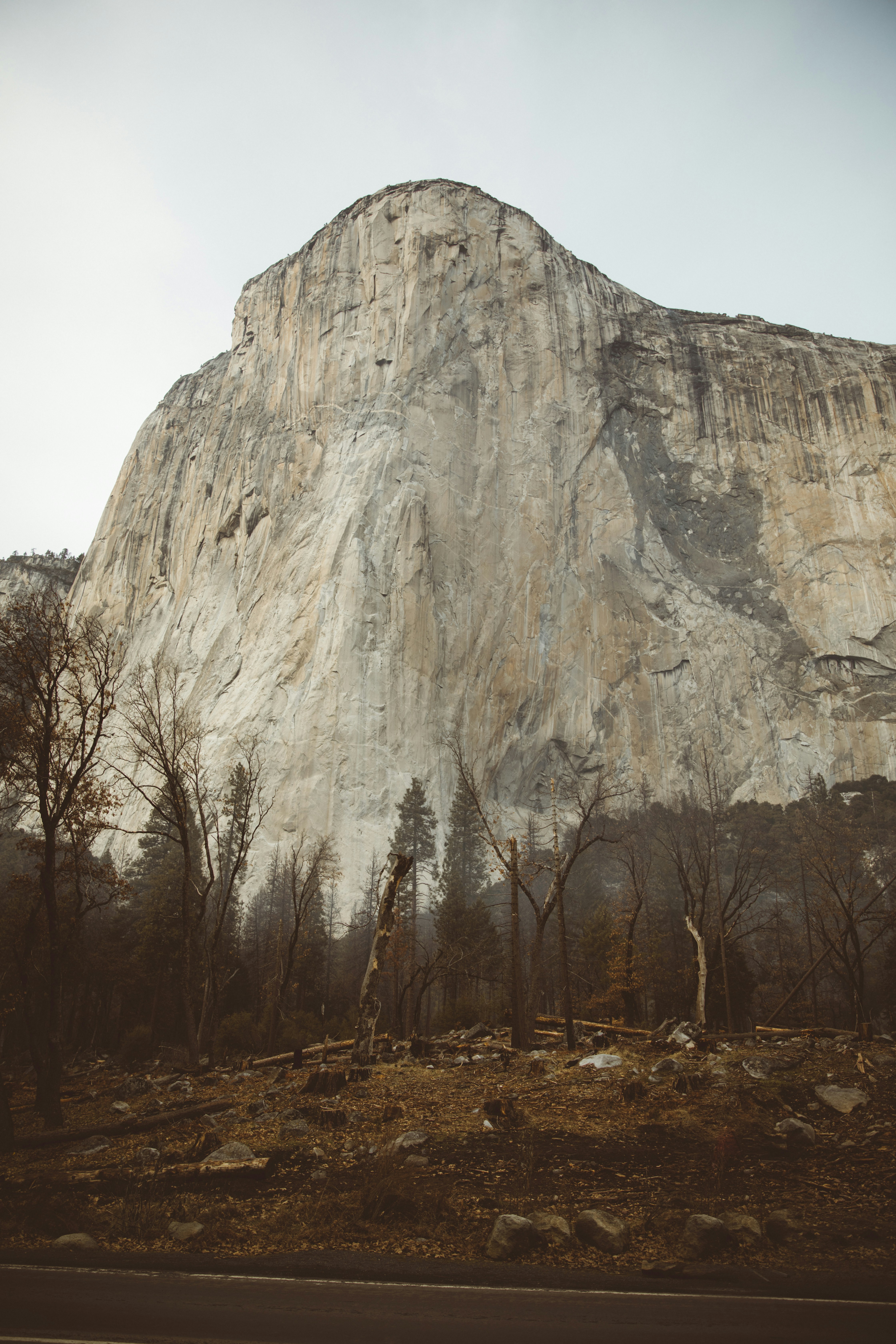 Photo by nate_dumlao