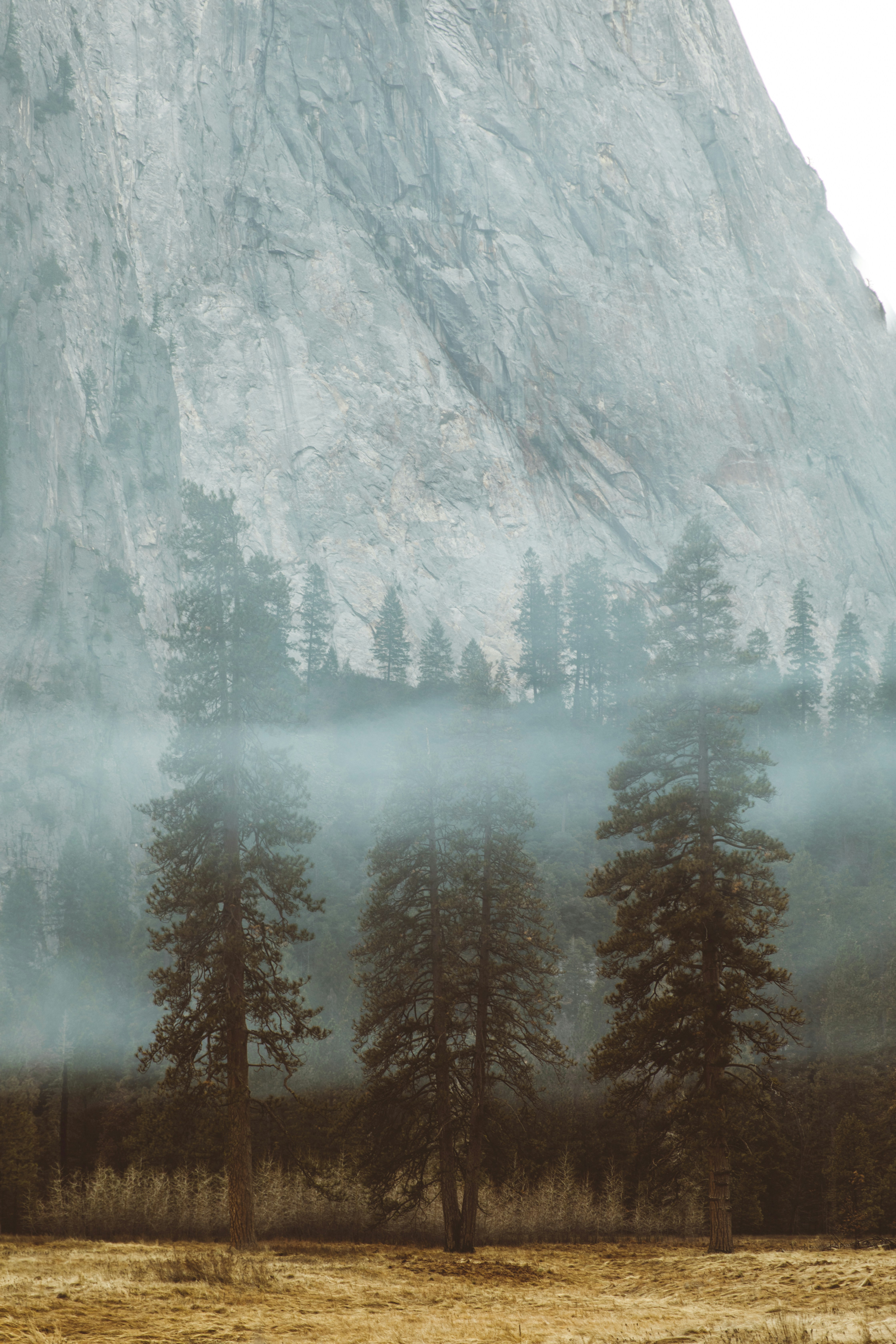 Photo by nate_dumlao