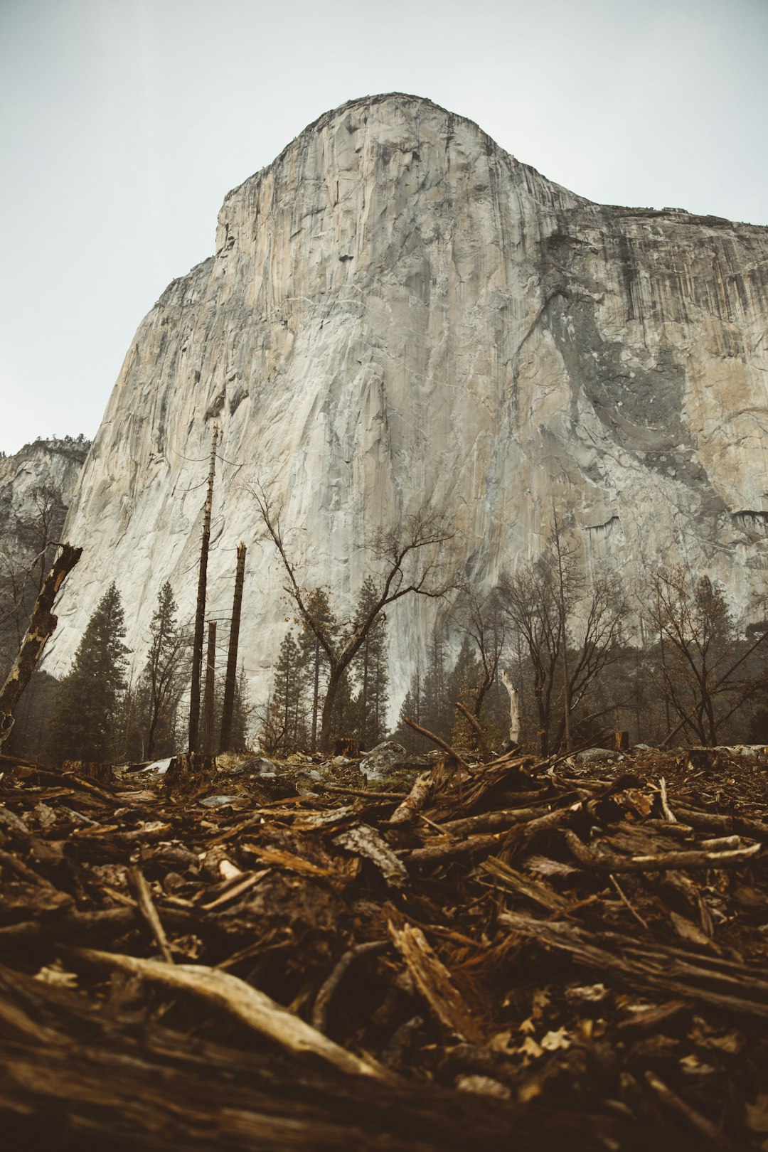 brown rocky mountain